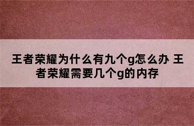 王者荣耀为什么有九个g怎么办 王者荣耀需要几个g的内存